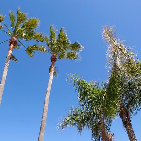 La Rosaleda Villa Denia Dış mekan fotoğraf